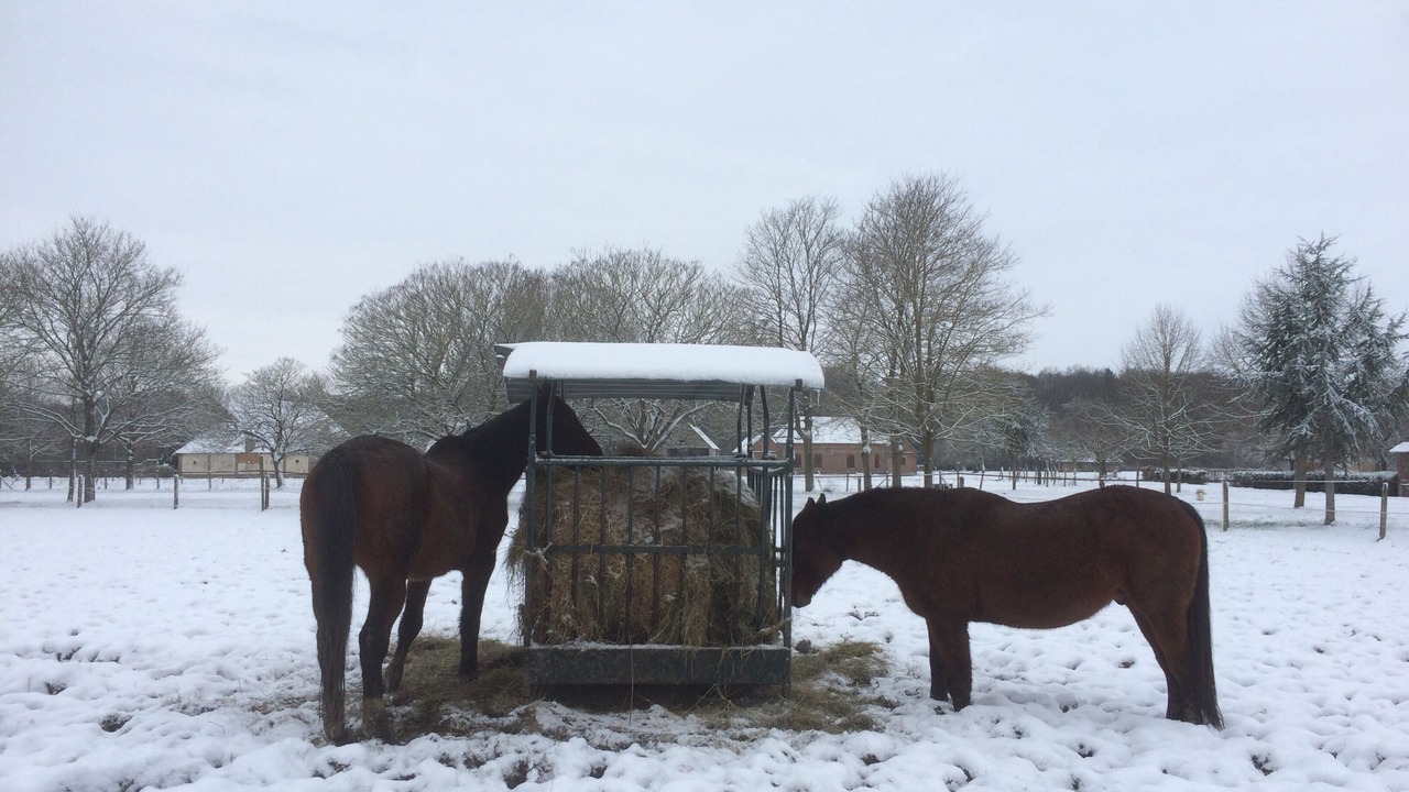 Photo of Outdoor in Bois-Normand-Pres-Lyre
