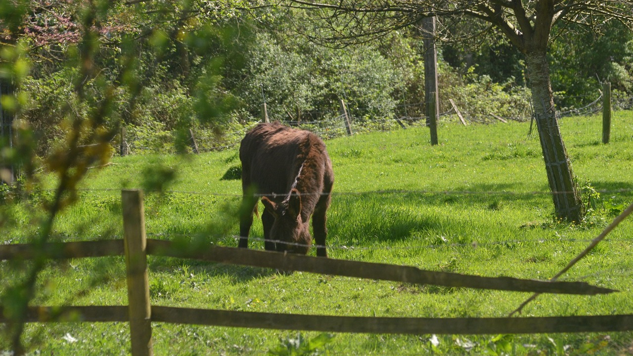 Photo of Outdoor in Doudeville
