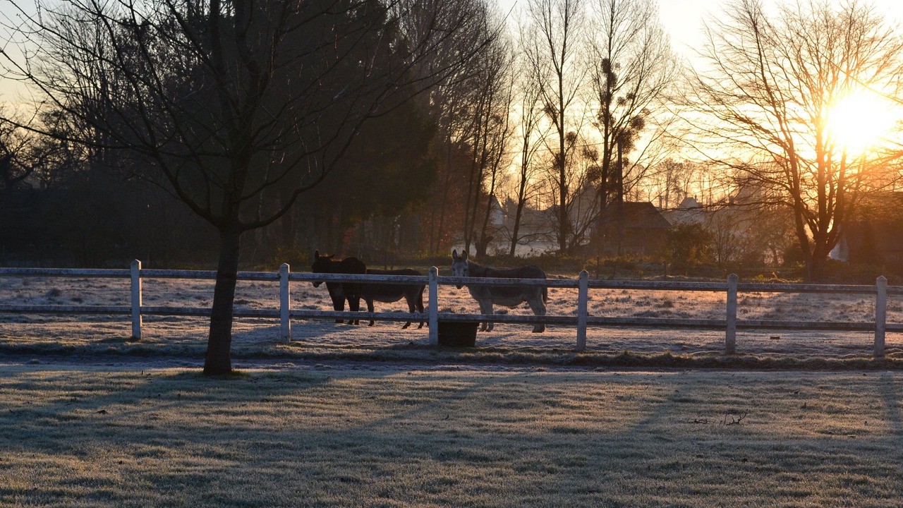 Photo of Outdoor in Doudeville