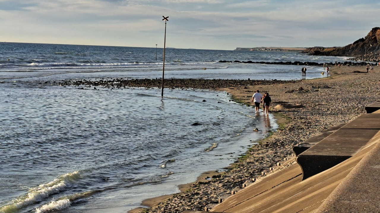 Photo of Others in Hesdin-l'Abbe