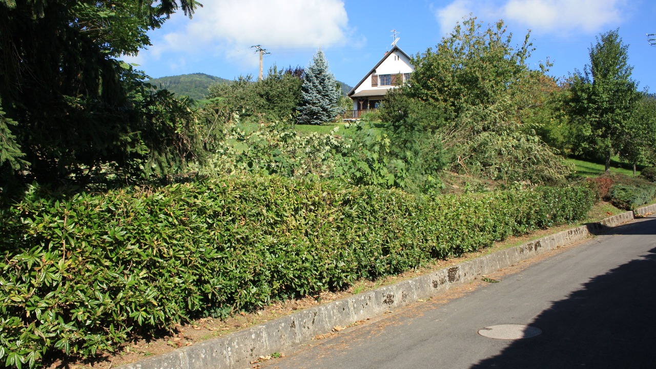 Photo of Outdoor in Breitenbach