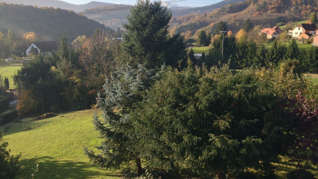 Photo of Outdoor in Breitenbach