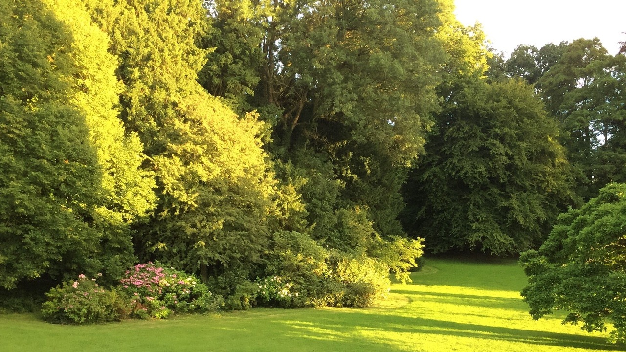 Photo of Outdoor in Wierre-au-Bois