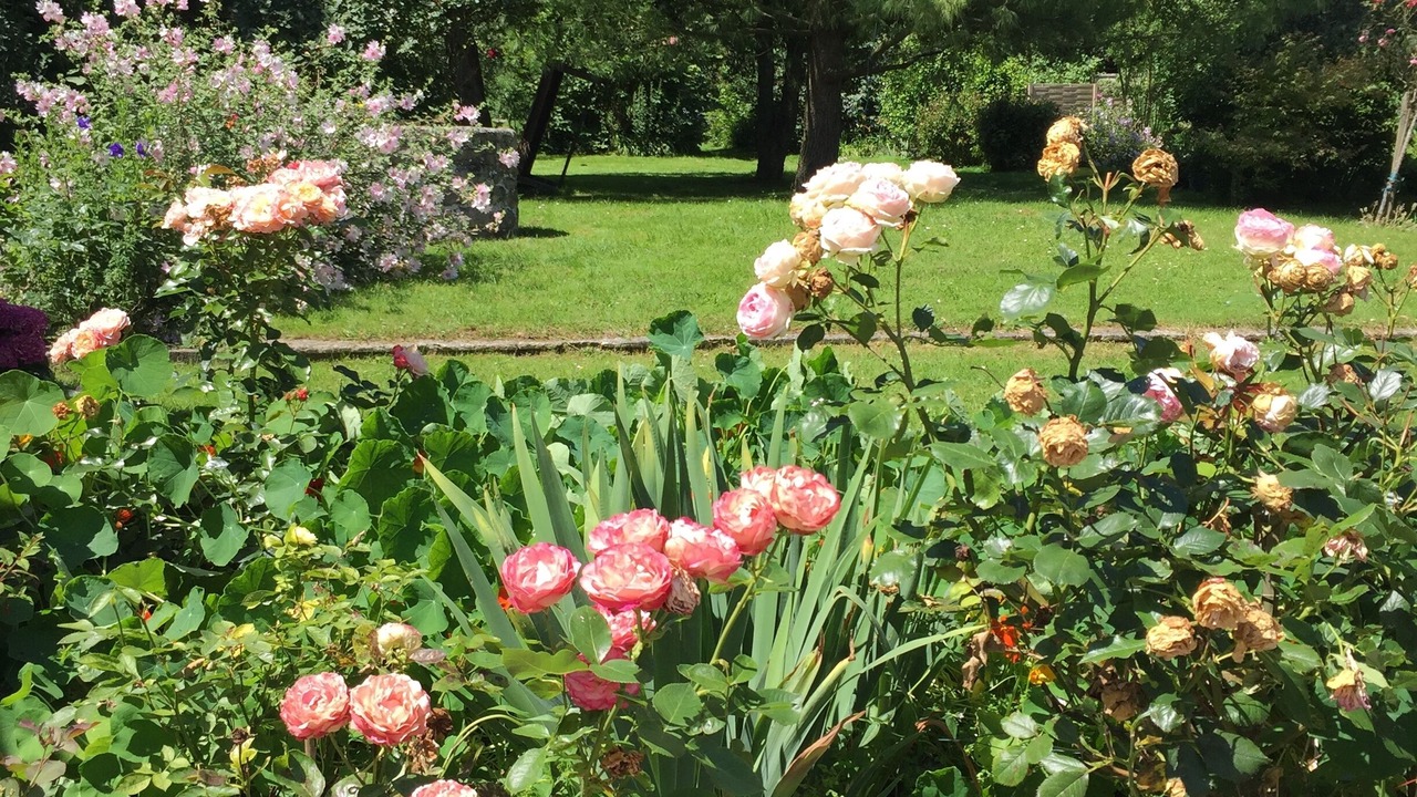 Photo of Outdoor in Conde-sur-lʼEscaut