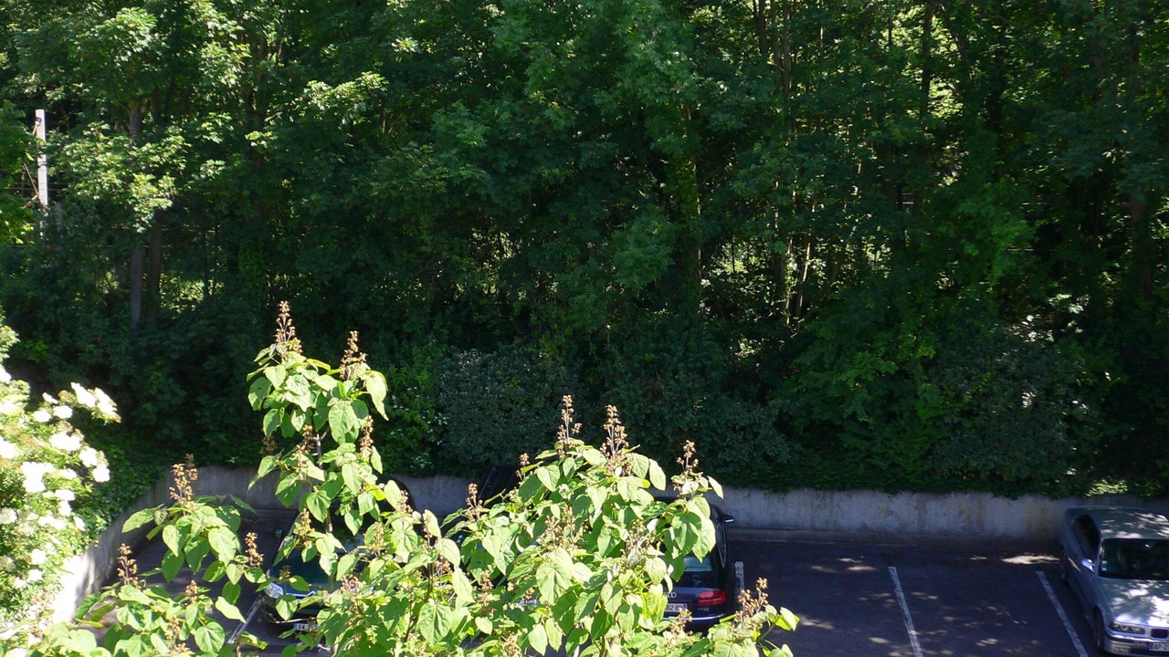 Photo of Outdoor in Coteaux Ouest