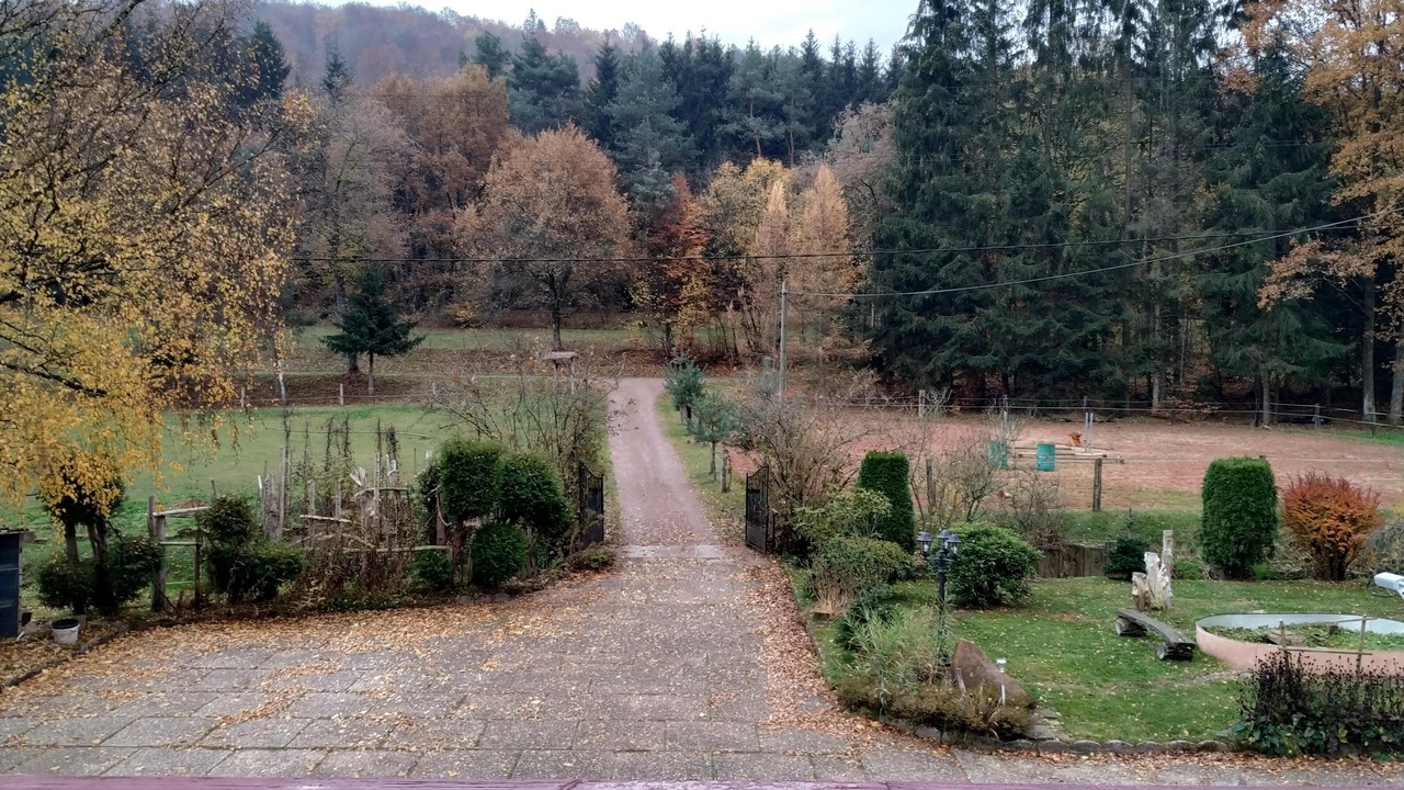 Photo of Outdoor in Soucht