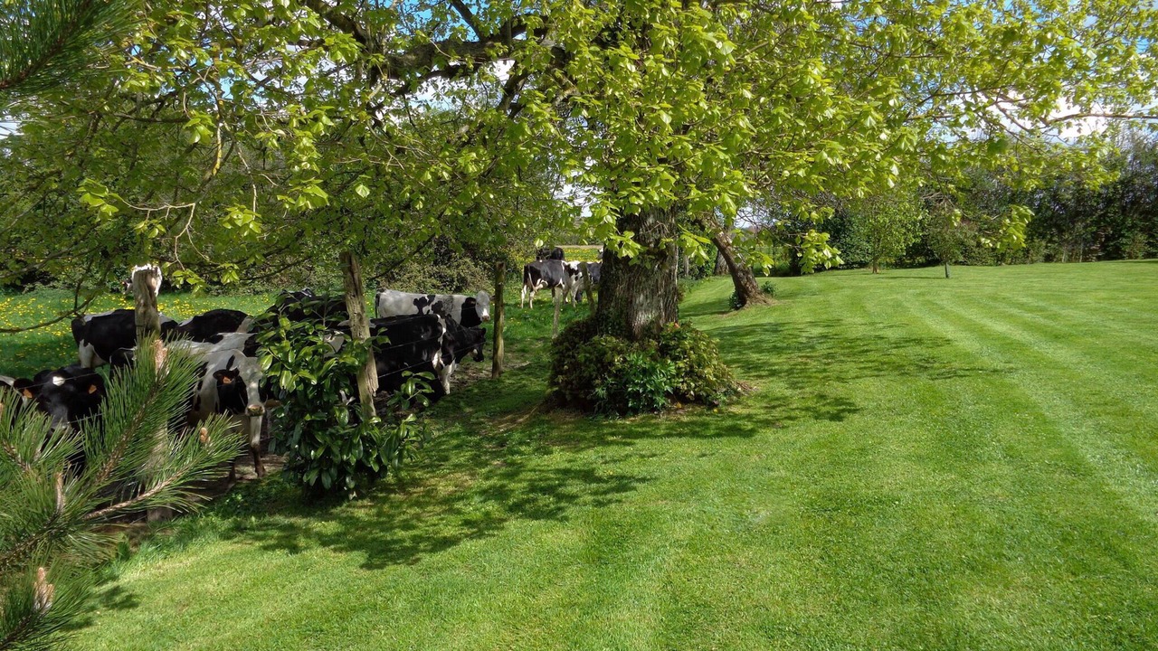 Photo of Outdoor in Tingry