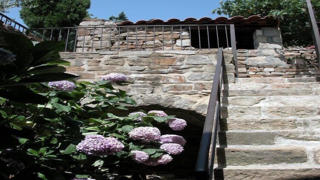 Photo of Outdoor in Chassiers