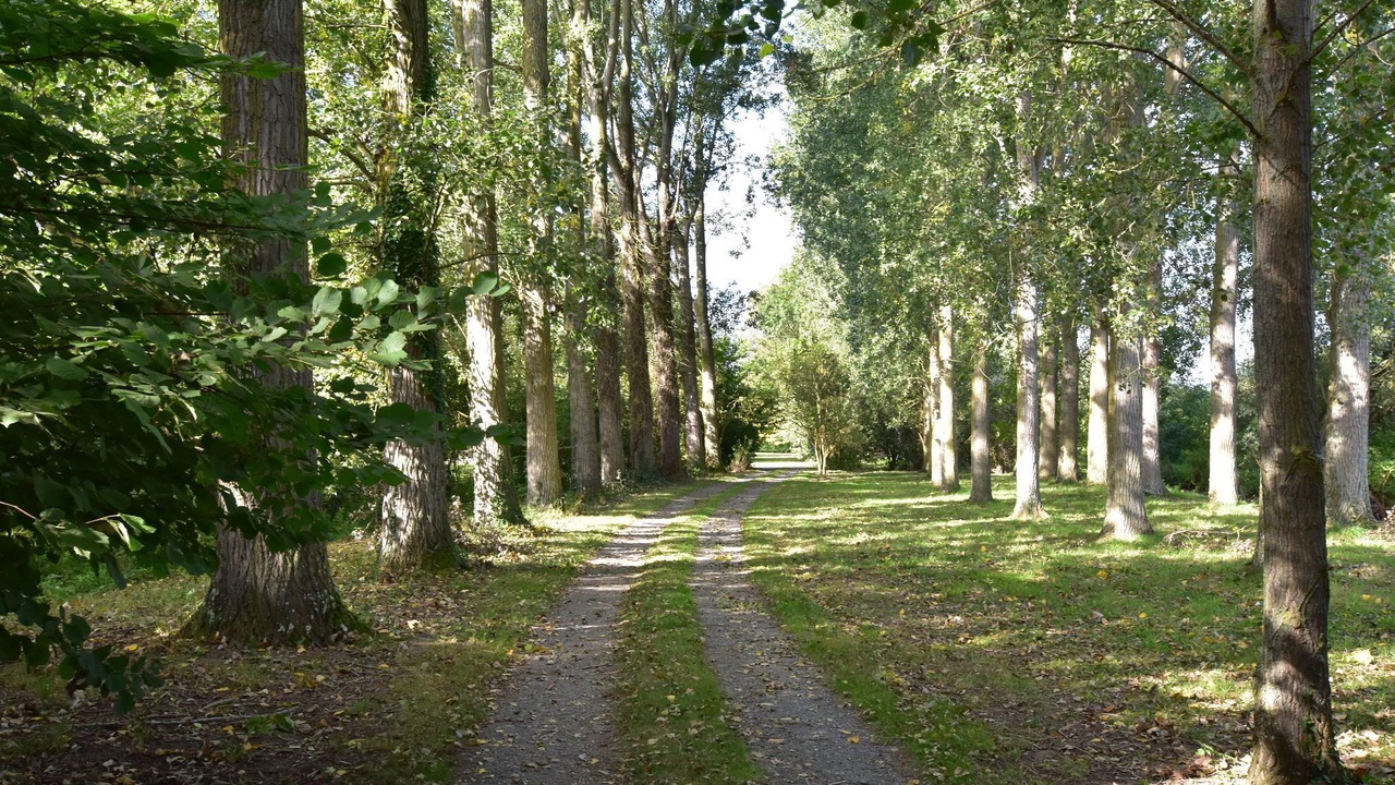 Photo of Outdoor in Saint-Omer