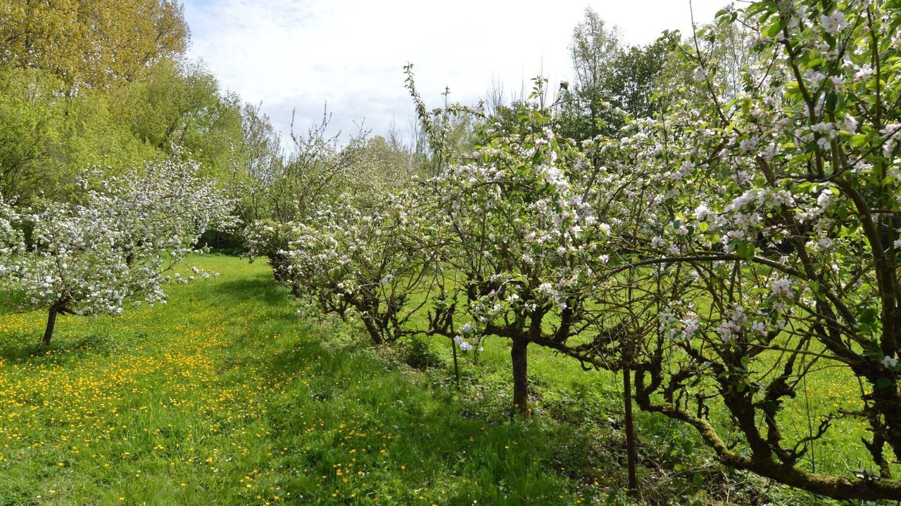 Photo of Outdoor in Saint-Omer
