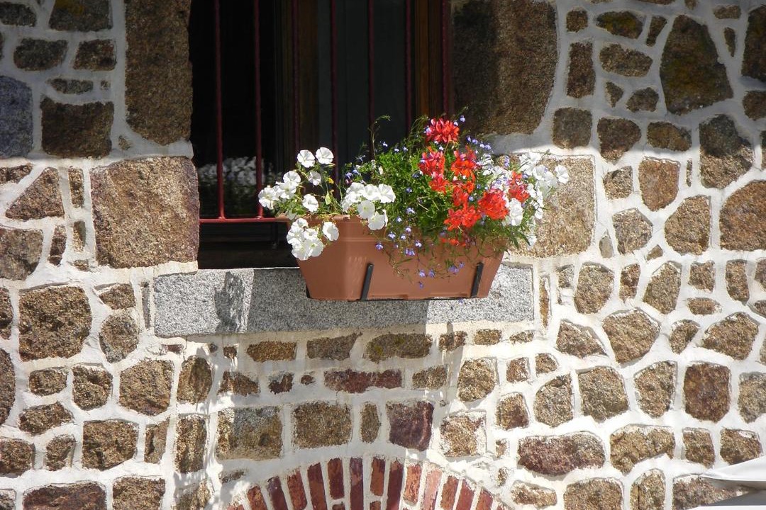 Photo of Others in Sainte-Marie-du-Bois