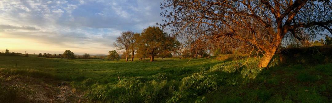 Photo of Others in Sauvigny-le-Beureal