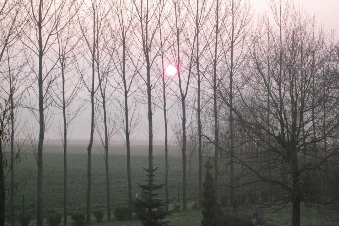 Photo of Others in Hardecourt-aux-Bois