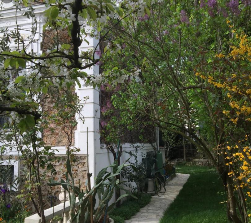 Photo of Others in Rosny-sous-Bois
