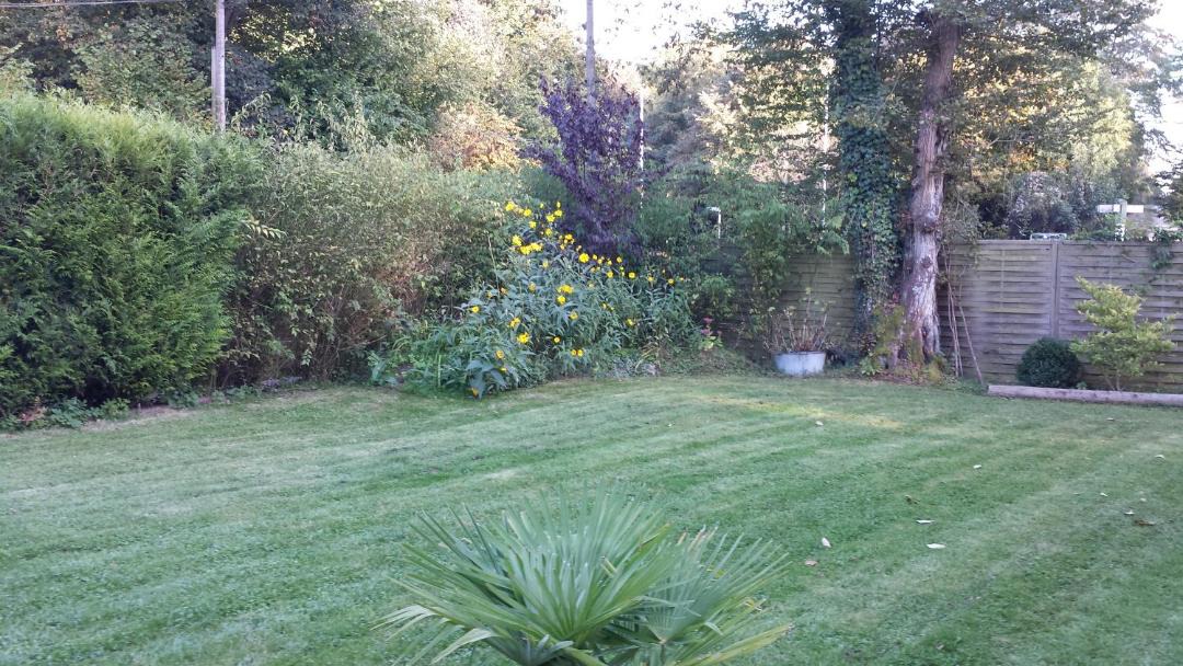 Photo of Outdoor in Coye-la-Foret