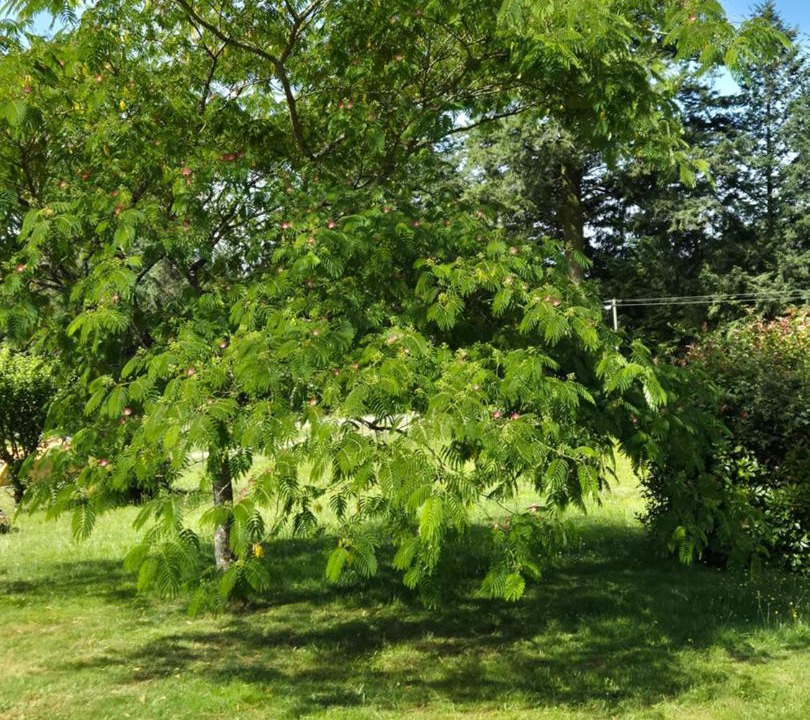 Photo of Outdoor in La Chapelle Montbrandeix