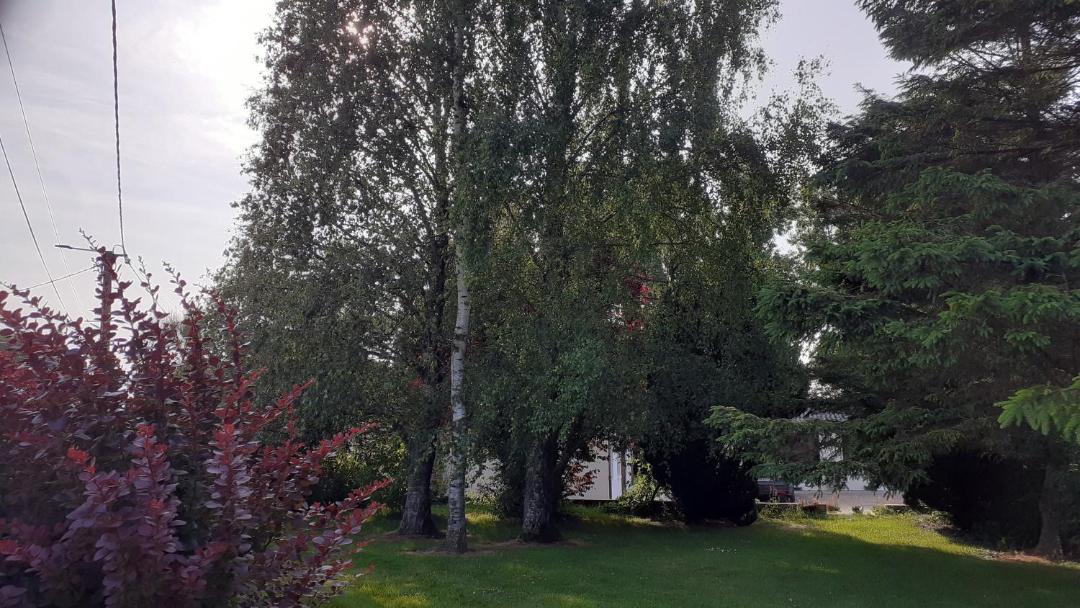 Photo of Others in Wavrans-sur-l'Aa