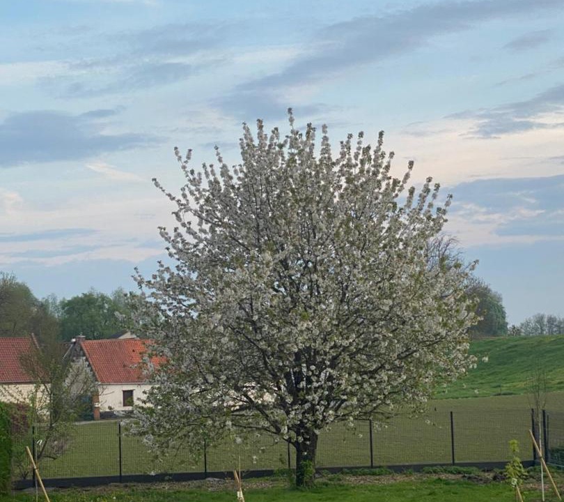 Photo of Others in Mont-Saint-Eloi