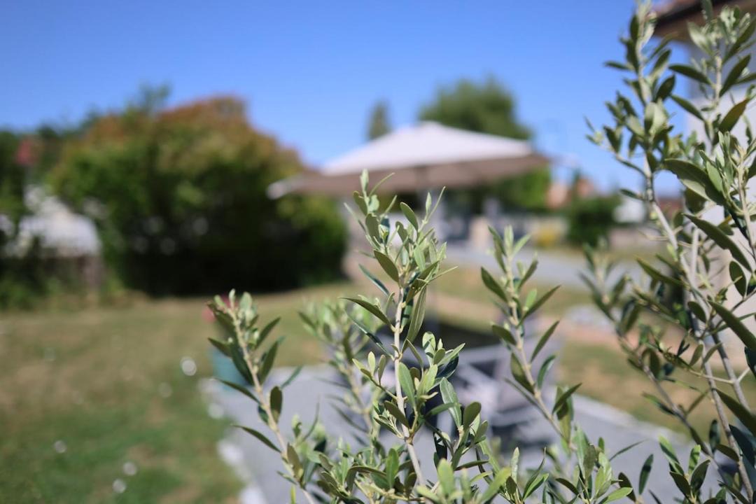 Photo of Outdoor in Marzy