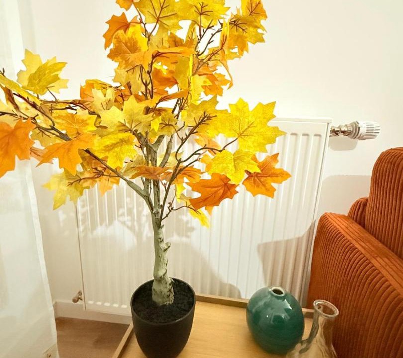 Photo of Livingroom in Aubervilliers