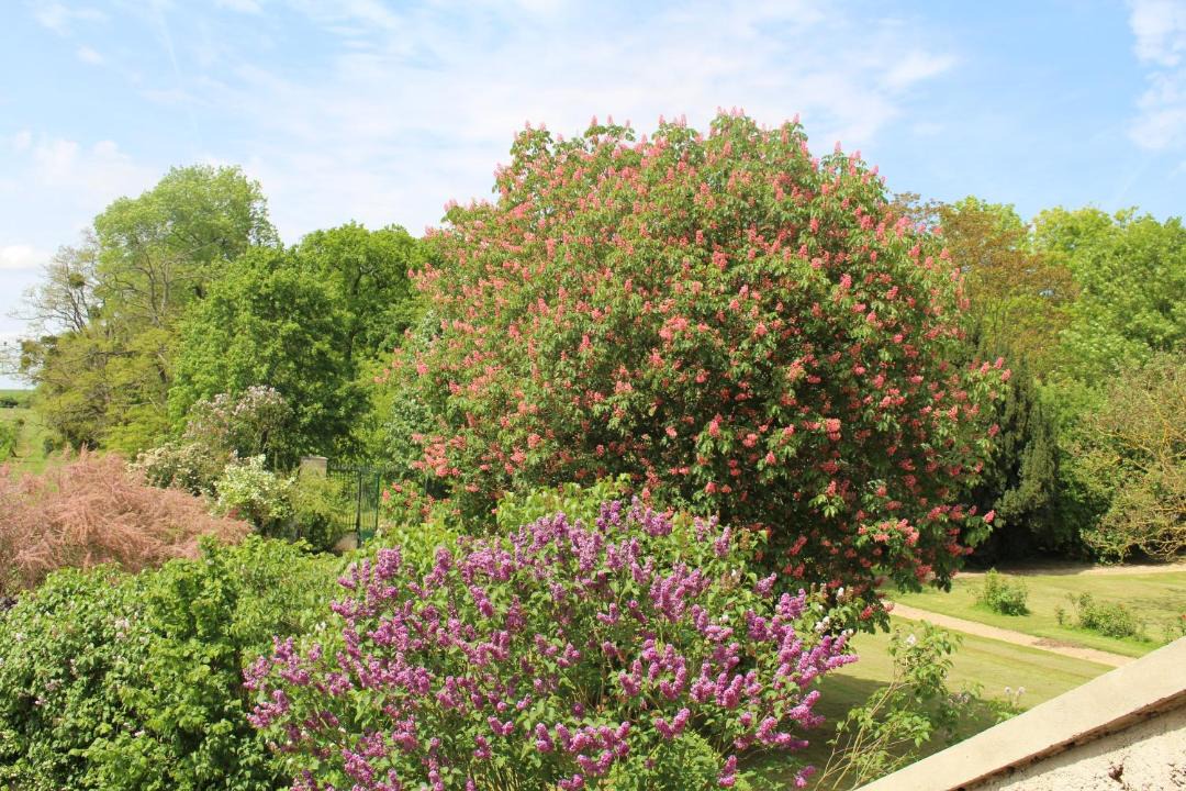 Photo of Others in Tancrou