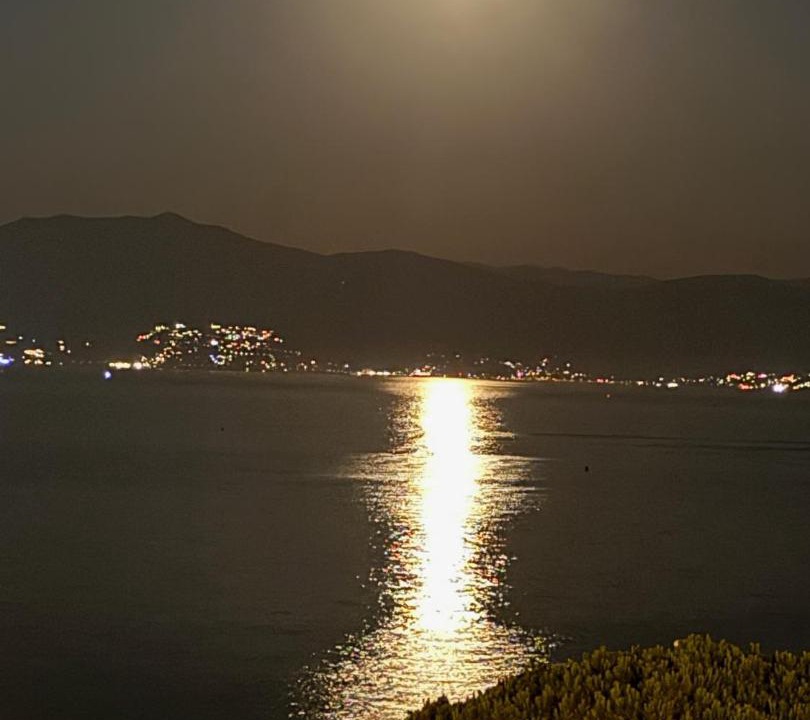Photo of Others in Ajaccio