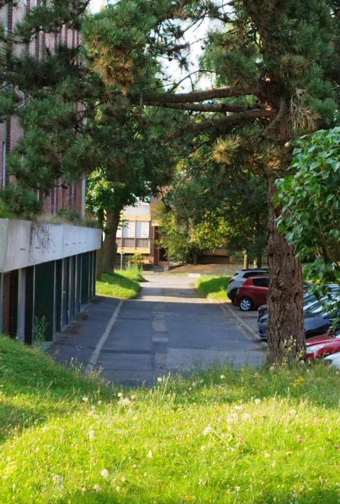 Photo of Others in Survilliers