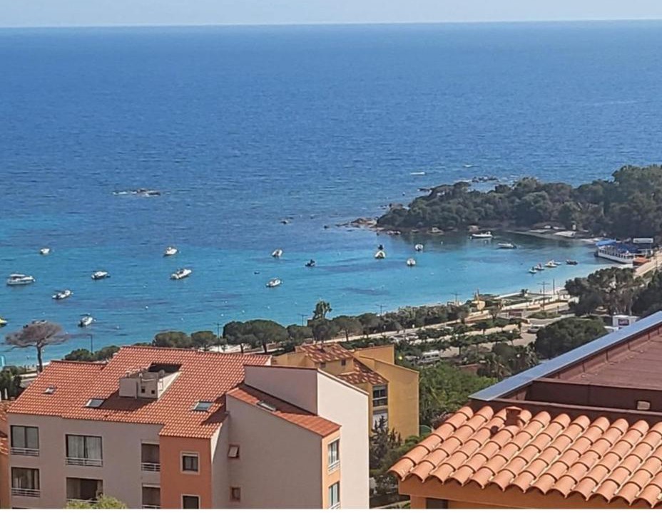 Photo of Others in Ajaccio