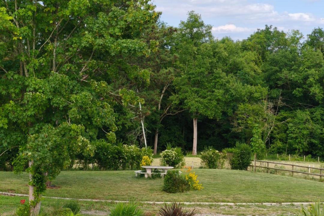 Photo of Others in Clermont