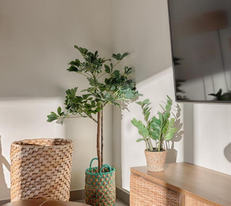 Photo of Livingroom in Chalifert