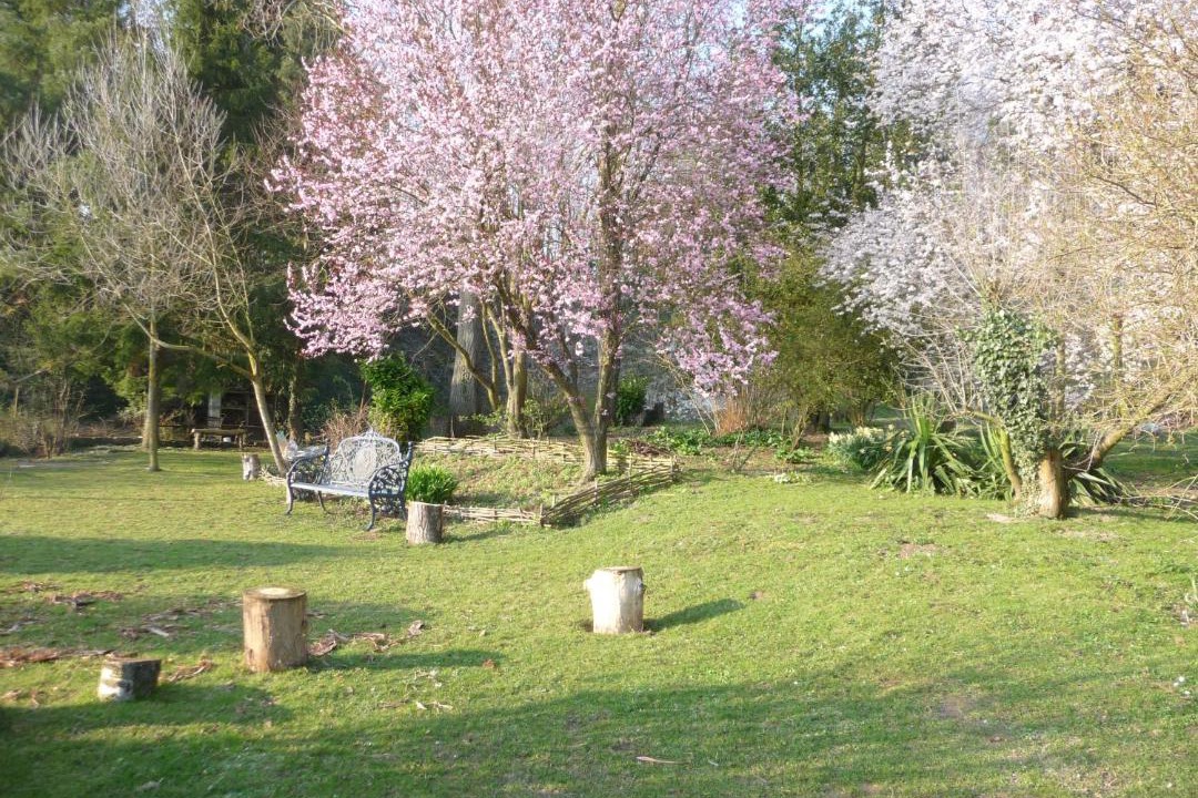 Photo of Others in Beaurainville