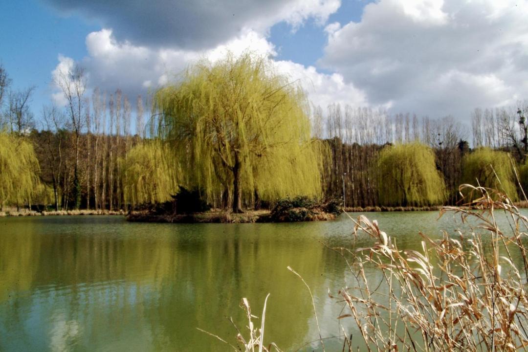 Photo of Others in Bagneaux-sur-Loing