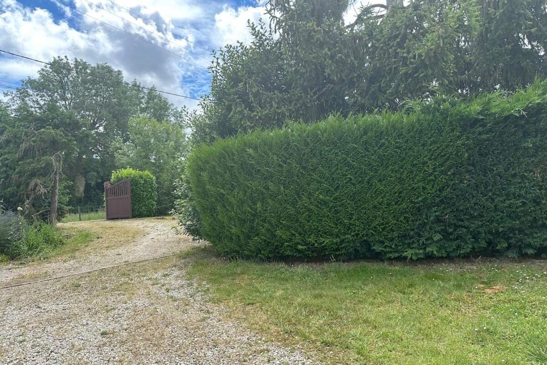 Photo of Outdoor in Beine