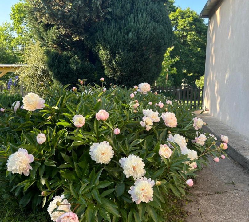 Photo of Outdoor in Lisieux
