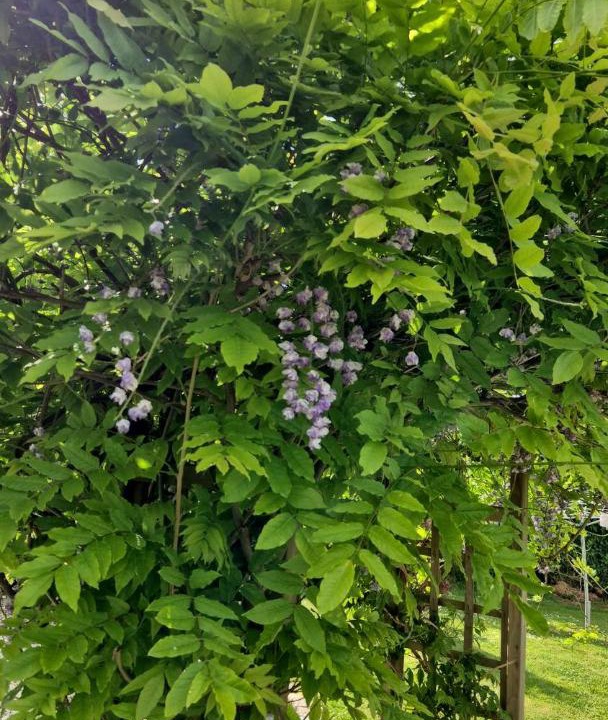Photo of Outdoor in Appeville-Annebault