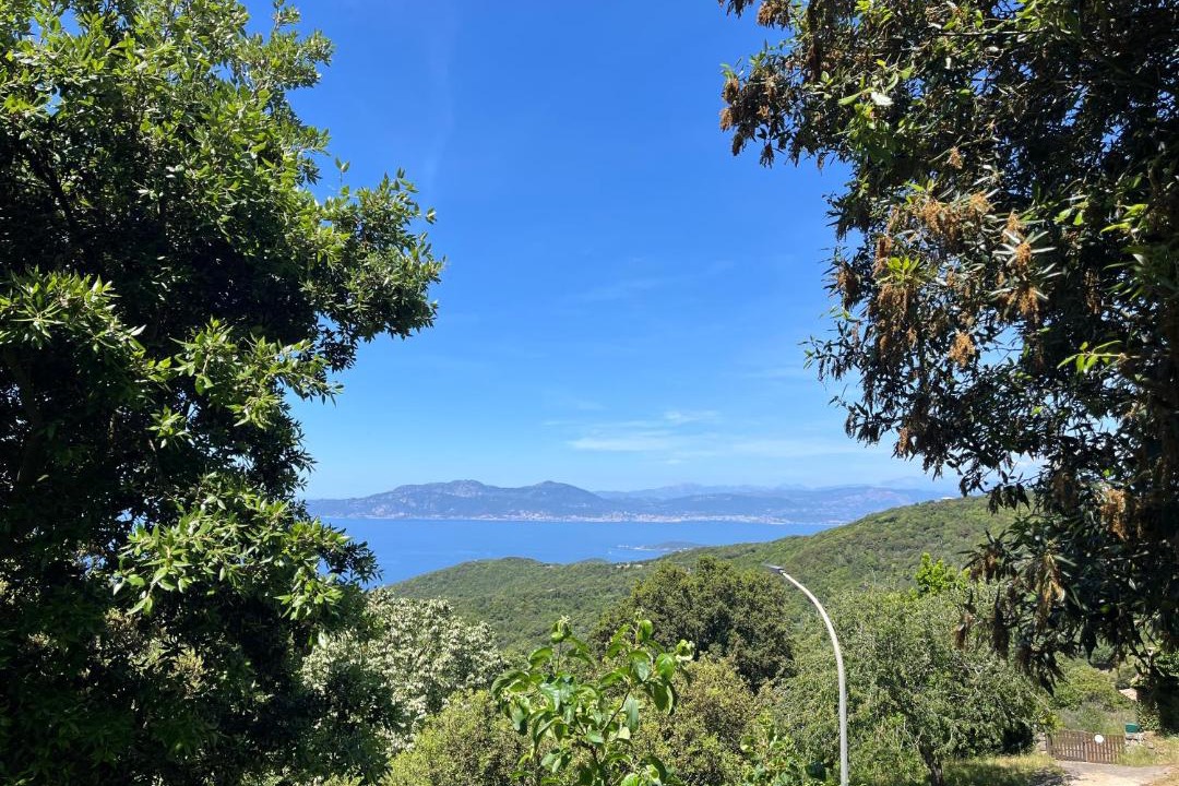 Photo of Outdoor in Coti-Chiavari