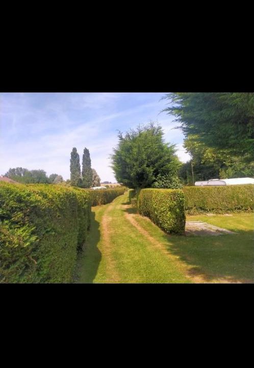 Photo of Others in Combles