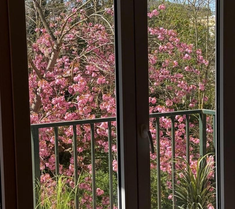 Photo of Patio Balcony in Chantilly