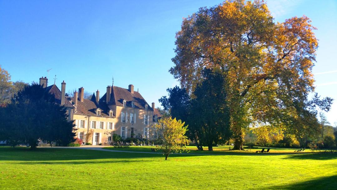 Photo of Buildings in Vault-de-Lugny