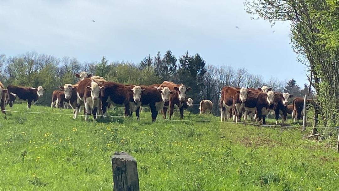 Photo of Outdoor in Dommartin-les-Cuiseaux