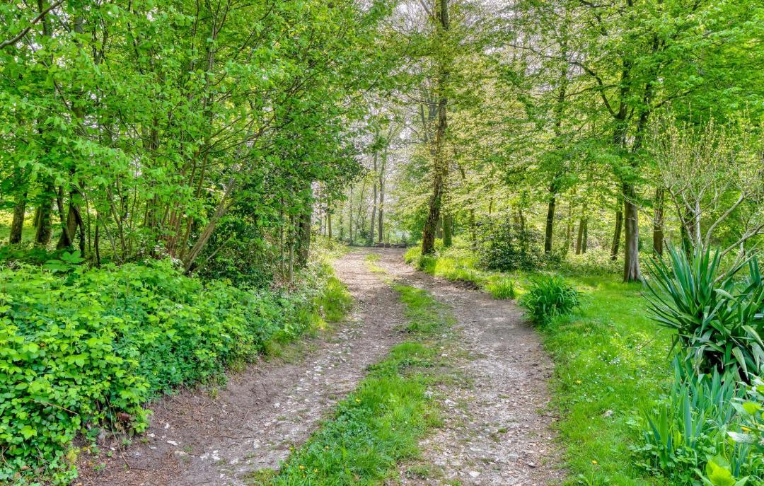 Photo of Outdoor in Catenay