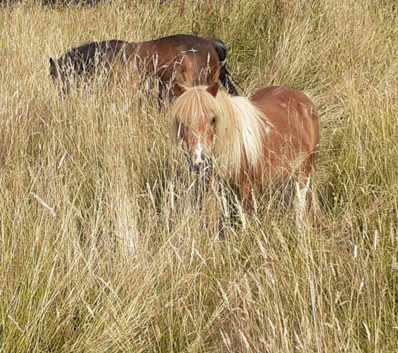 Photo of Others in Ablon