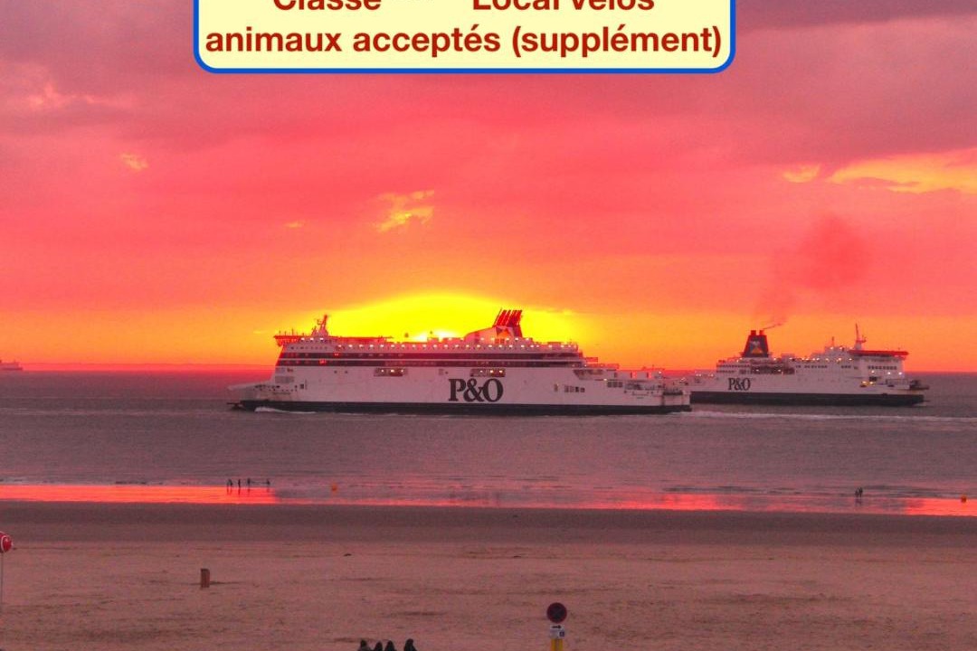 Photo of Others in Port