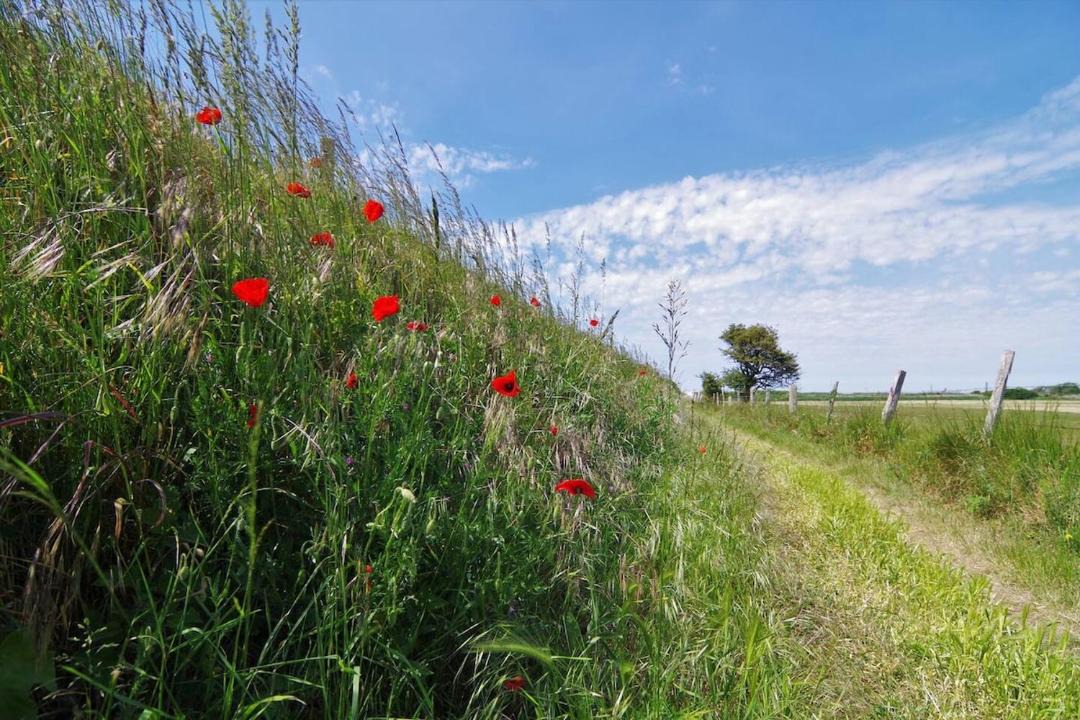 Photo of Others in Criel-sur-Mer