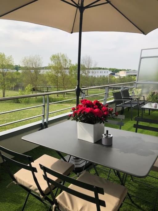 Photo of Patio Balcony in Plein Sud