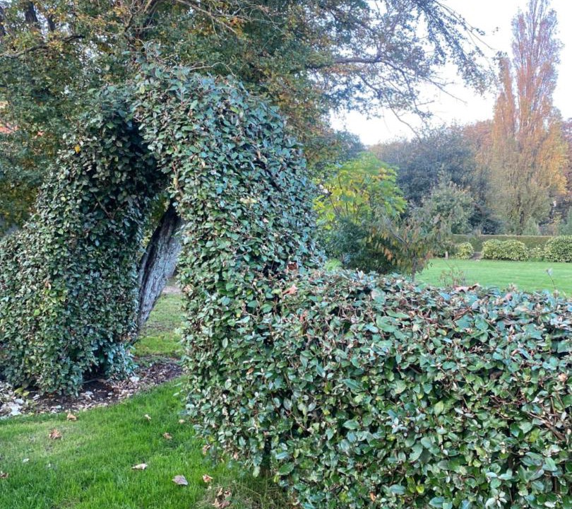 Photo of Outdoor in Peuplingues