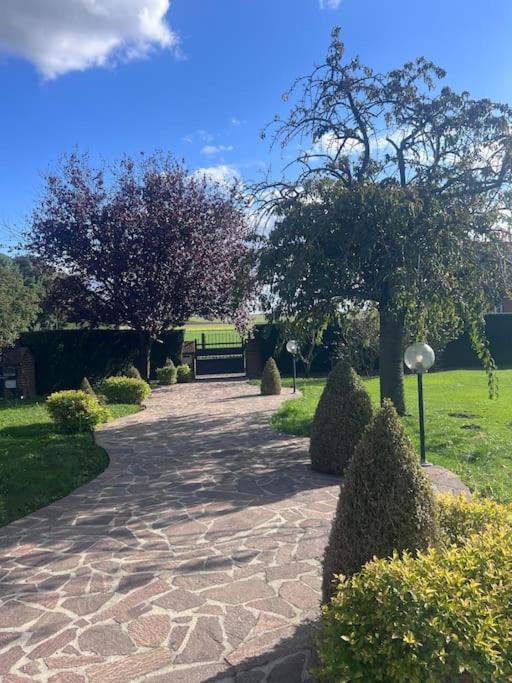 Photo of Outdoor in Mercatel