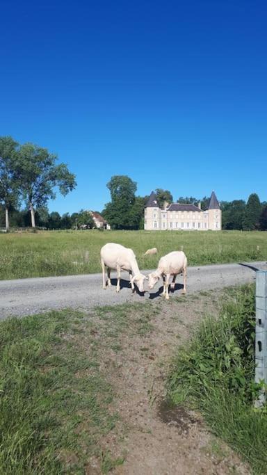Photo of Others in Neuville-les-Decize