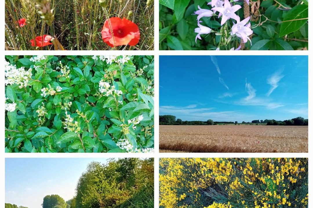 Photo of Outdoor in Lecelles