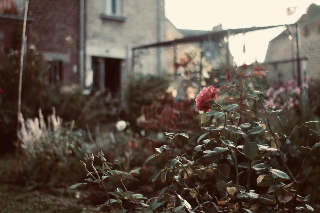 Photo of Others in Coucy-le-Chateau-Auffrique